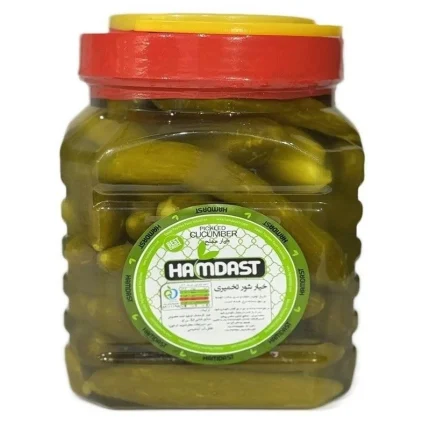 خیارشور ویژه تخمیری همدست - 2500 گرم